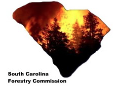 For more information from SC Forestry Commission