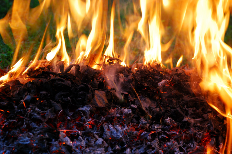 Outdoor Burning Notifications
 
SC State Law requires that you notify the Forestry Commission prior to burning outdoors. In most cases, the law applies to burning leaves, limbs and branches that you clean up from your yard. The notification law does not apply within town or city limits.

SC Forestry, Beaufort County
1-800-895-7062